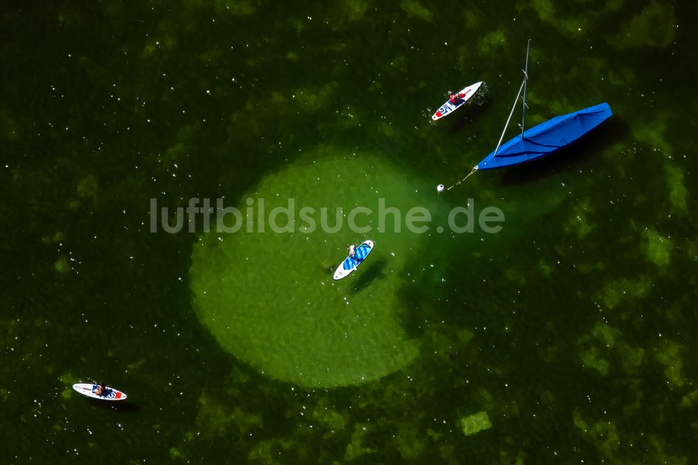 Luftaufnahme Starnberger See - SUP Board Sportboot in Fahrt auf dem Starnberger See im Bundesland Bayern, Deutschland
