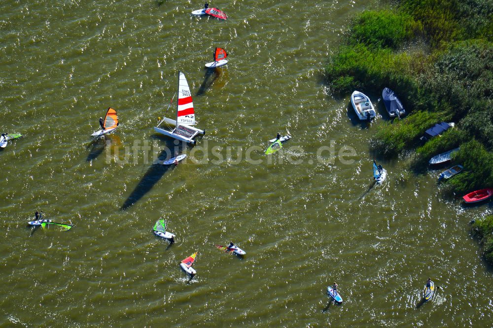 Luftbild Born am Darß - Surfer - Kitesurfer und Segler in Fahrt auf dem Barther Bodden in Born am Darß im Bundesland Mecklenburg-Vorpommern, Deutschland