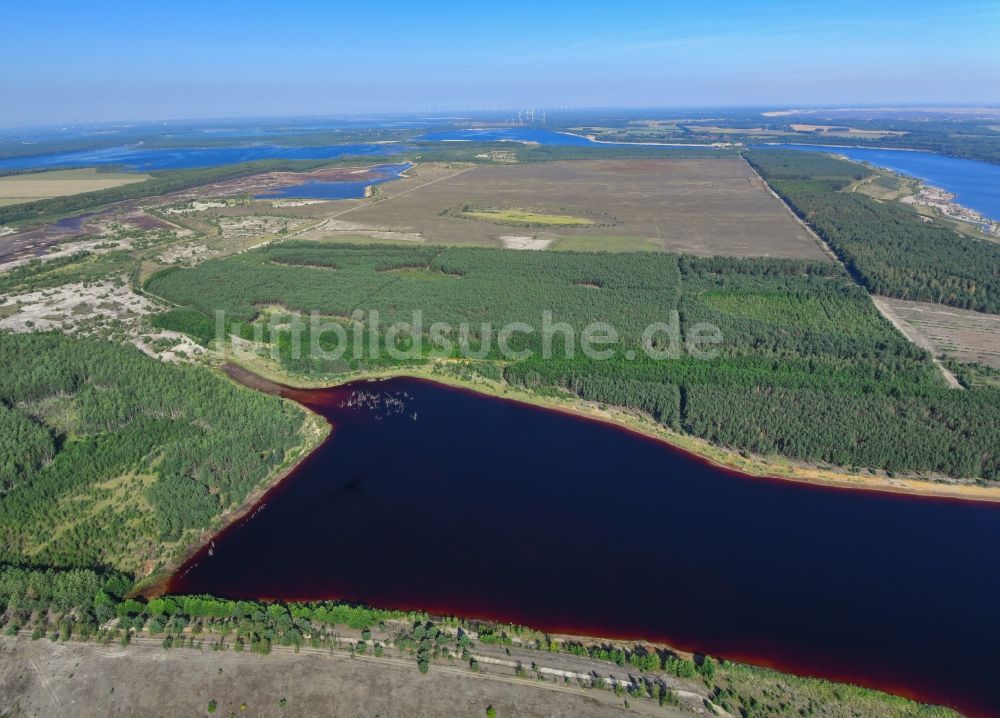 Luftbild Elsterheide - Tagebau Rekultivierung am See Neuwieser See in Elsterheide im Bundesland Sachsen, Deutschland