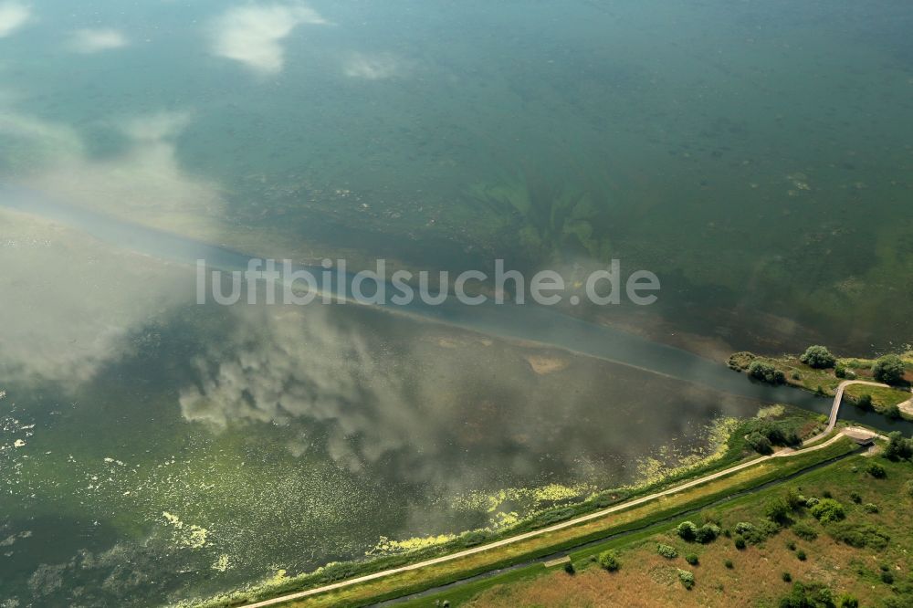 Luftbild Berga - Talsperren - Staudamm und Stausee im Ortsteil Bennungen in Berga im Bundesland Sachsen-Anhalt, Deutschland