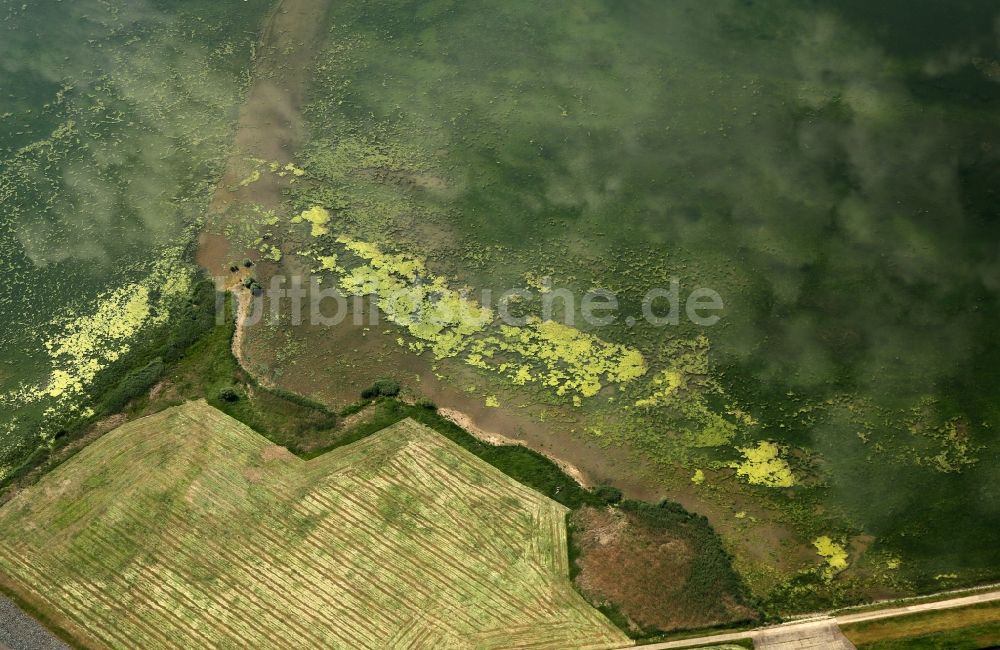 Luftaufnahme Berga - Talsperren - Staudamm und Stausee im Ortsteil Bennungen in Berga im Bundesland Sachsen-Anhalt, Deutschland