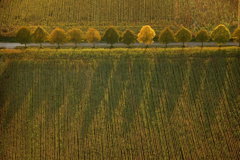 Luftbild Herten - Talweg in Herten im Bundesland Nordrhein-Westfalen