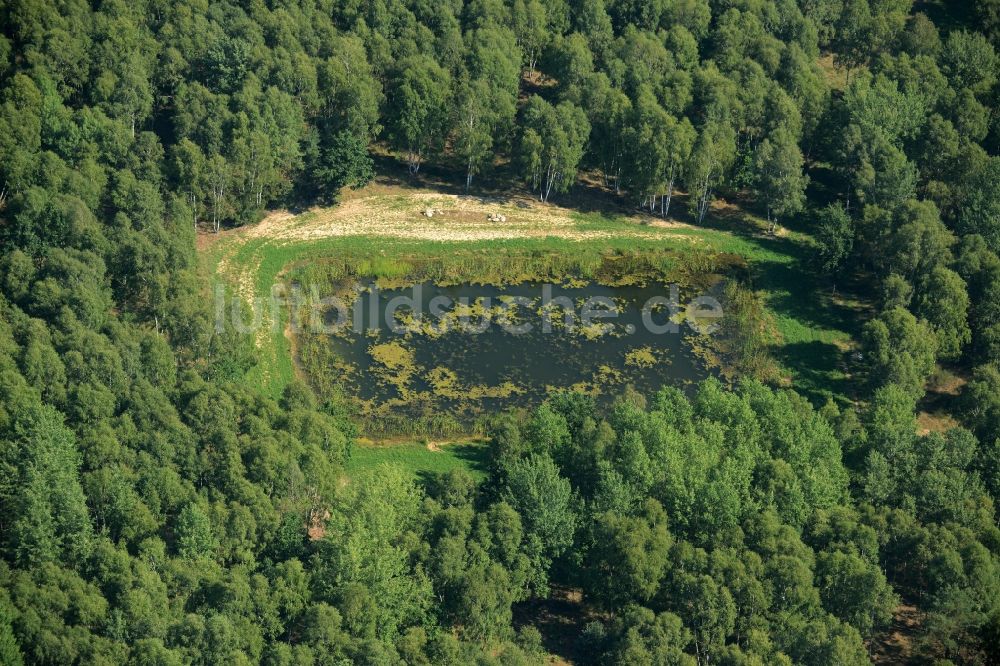 Luftaufnahme Heidehof-Golmberg - Teich im Süden des Naturschutzgebietes Heidehof-Golmberg im Bundesland Brandenburg