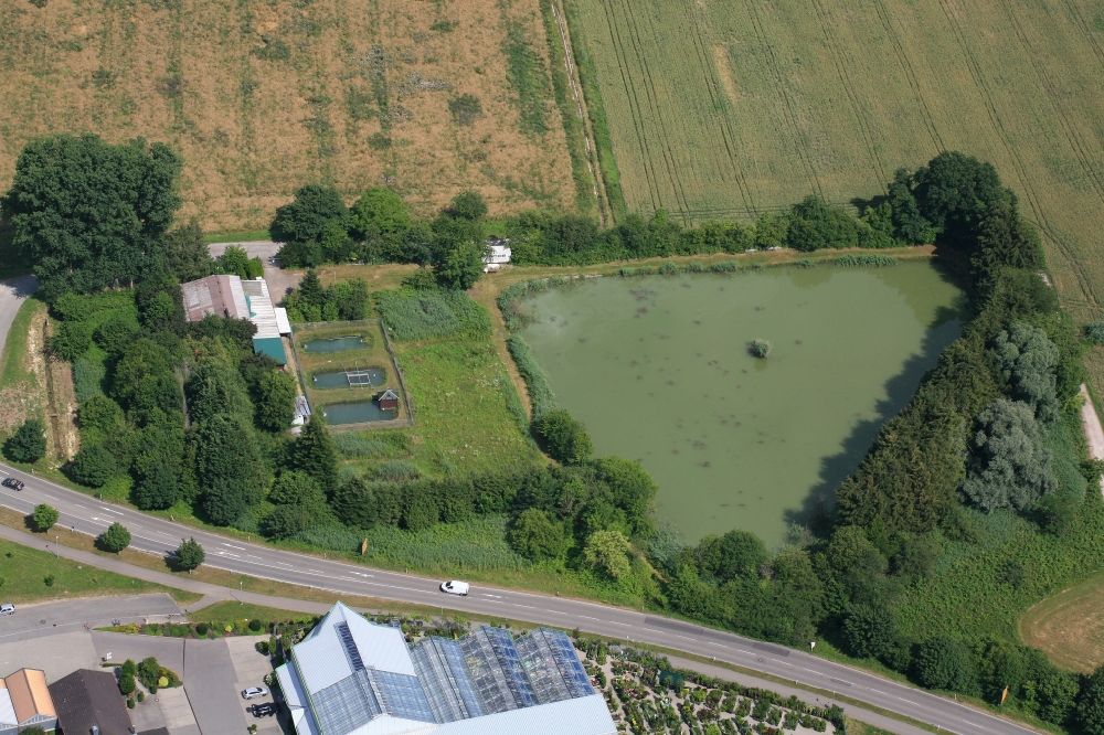 Luftbild Rheinfelden (Baden) - Teichanlage zur Fischzucht und Vereinsgelände des Angelsportverein Rheinfelden in Rheinfelden (Baden) im Bundesland Baden-Württemberg, Deutschland