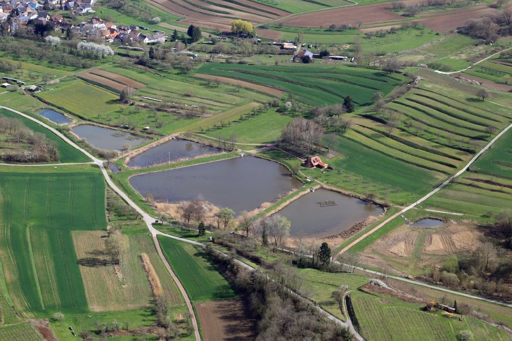 Ettenheim von oben - Teichanlagen und Biotope Oberwasen in Ettenheim im Bundesland Baden-Württemberg