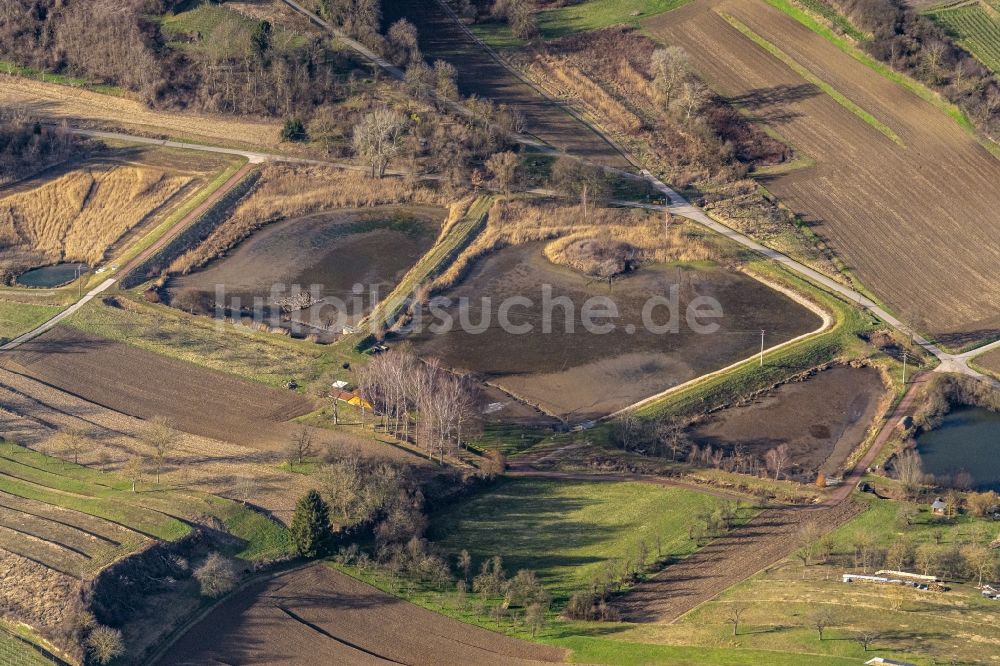 Ettenheim aus der Vogelperspektive: Teichanlagen und Biotope Oberwasen in Ettenheim im Bundesland Baden-Württemberg