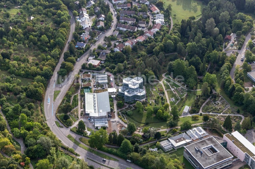 Luftbild Tübingen - Terrassen- Parkanlage des Botanischen Garten, Tropicarium und Arboretum der Universität Tübingen in Tübingen im Bundesland Baden-Württemberg, Deutschland