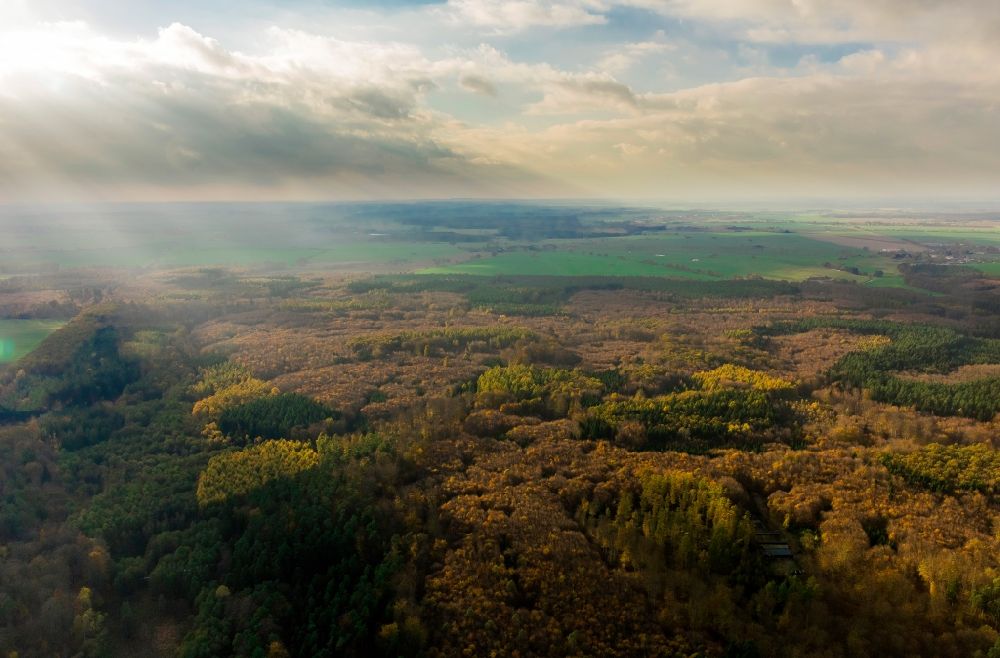 Dargun aus der Vogelperspektive: Tiergarten im Herbst bei Dargun im Bundesland Mecklenburg-Vorpommern