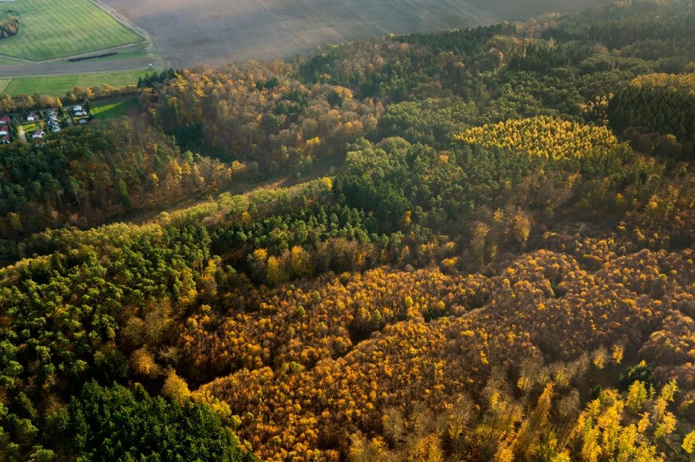 Luftbild Dargun - Tiergarten im Herbst bei Dargun im Bundesland Mecklenburg-Vorpommern