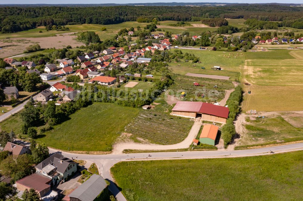 Luftbild Chorin - Tierzucht- Stallanlagen in Chorin im Bundesland Brandenburg, Deutschland