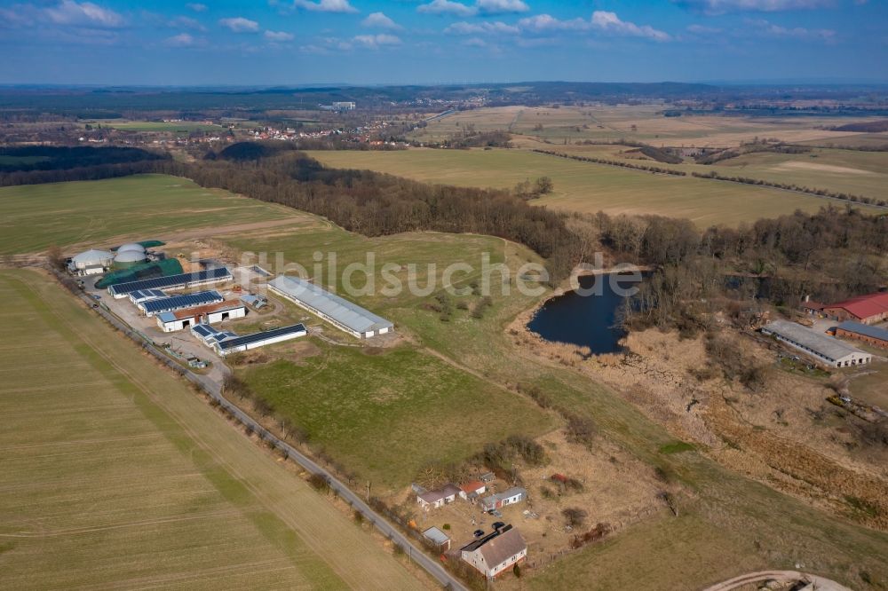 Luftaufnahme Hohenfinow - Tierzucht- Stallanlagen in Hohenfinow im Bundesland Brandenburg, Deutschland