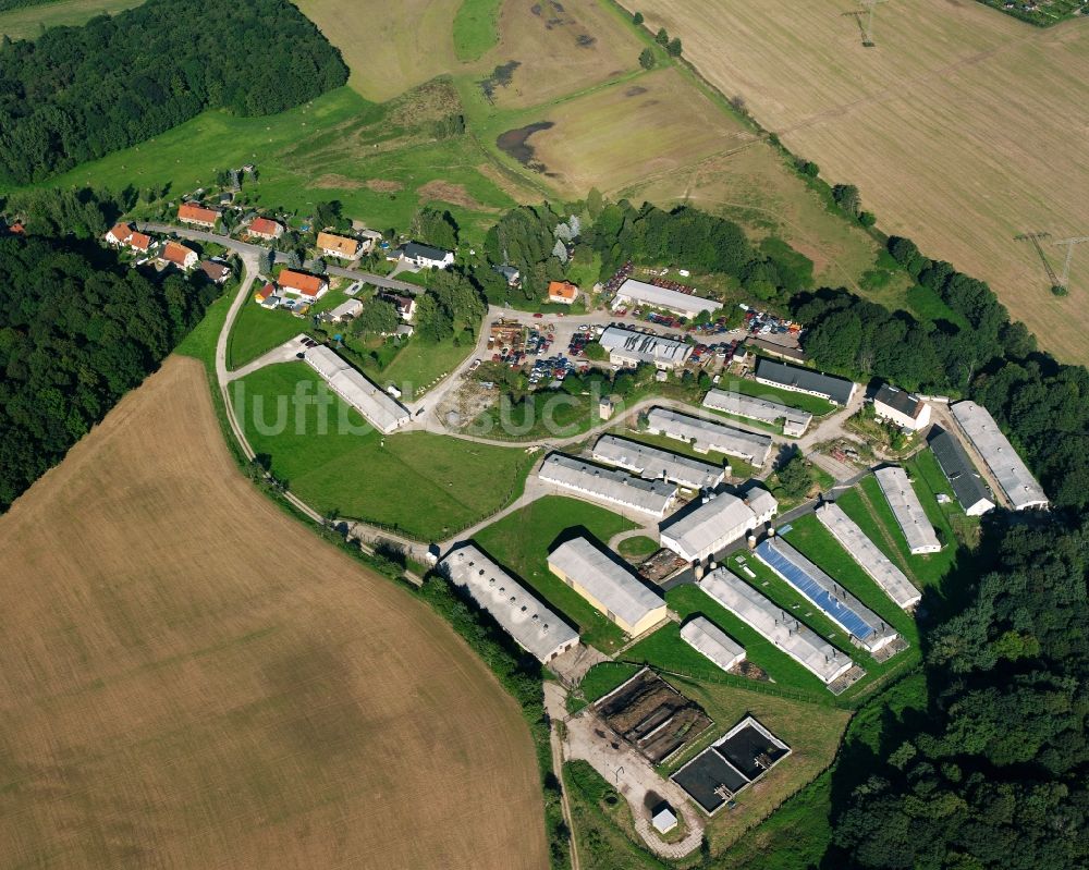 Luftaufnahme Niederlichtenau - Tierzucht- Stallanlagen in Niederlichtenau im Bundesland Sachsen, Deutschland