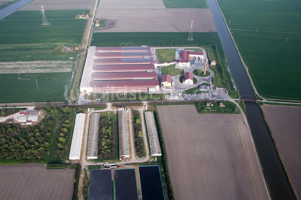 Luftbild Codigoro - Tierzucht- Stallanlagen Schweinezucht für die Schweinefleischproduktion kombiniert mit Fischzuchtbecken in Codigoro in Emilia-Romagna, Italien