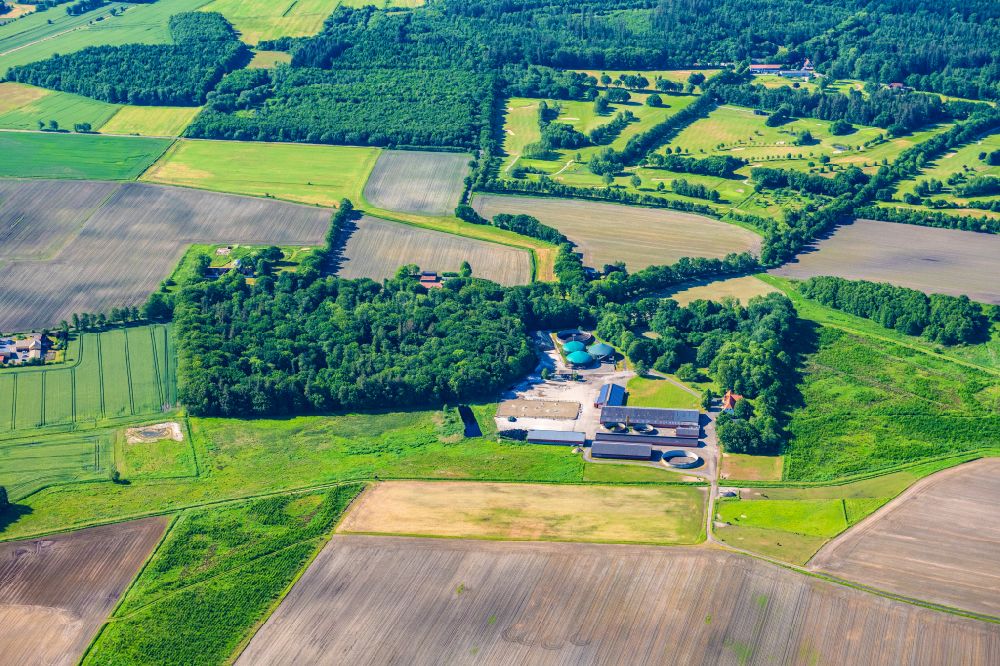 Luftaufnahme Stadum - Tierzucht- Stallanlagen in Stadum im Bundesland Schleswig-Holstein, Deutschland