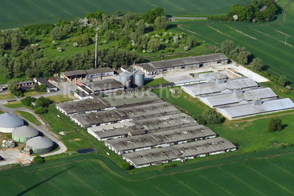 Luftaufnahme Bandenitz - Tierzucht- Stallanlagen Tierzucht für die Fleischproduktion in Bandenitz im Bundesland Mecklenburg-Vorpommern, Deutschland