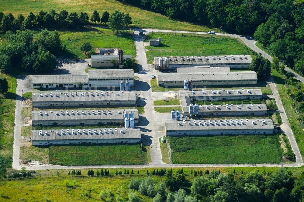 Luftbild Criewen - Tierzucht- Stallanlagen Tierzucht für die Fleischproduktion in Criewen im Bundesland Brandenburg, Deutschland
