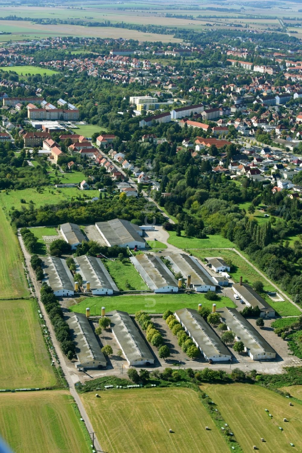 Luftbild Halberstadt - Tierzucht- Stallanlagen Tierzucht für die Fleischproduktion in Halberstadt im Bundesland Sachsen-Anhalt, Deutschland