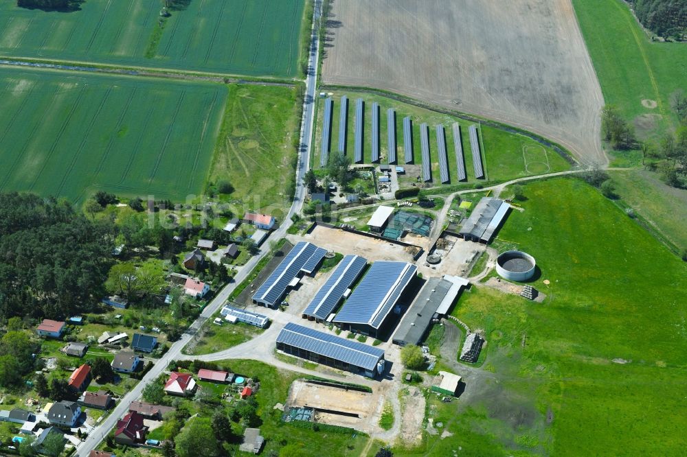 Koppatz von oben - Tierzucht- Stallanlagen Tierzucht für die Fleischproduktion in Koppatz im Bundesland Brandenburg, Deutschland