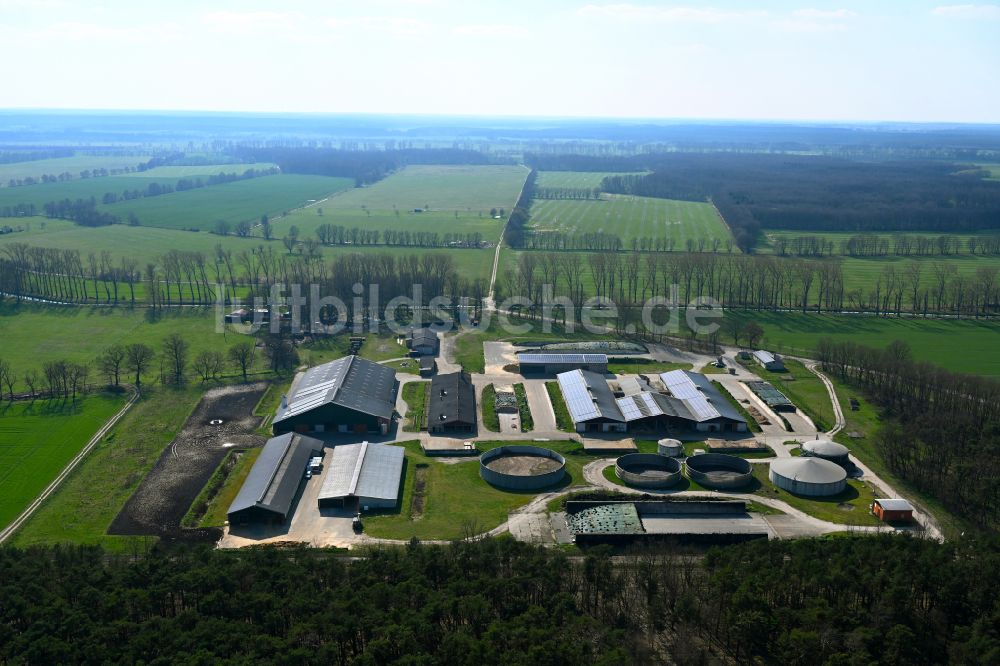 Krahne aus der Vogelperspektive: Tierzucht- Stallanlagen Tierzucht für die Fleischproduktion in Krahne im Bundesland Brandenburg, Deutschland