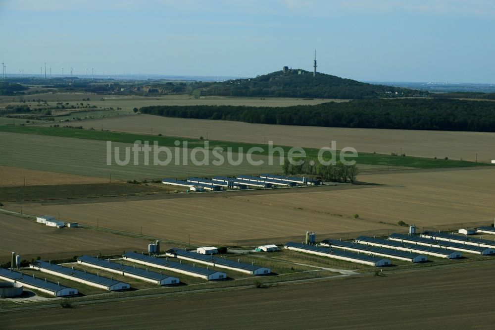 Luftaufnahme Oppin - Tierzucht- Stallanlagen Tierzucht für die Fleischproduktion in Oppin im Bundesland Sachsen-Anhalt, Deutschland