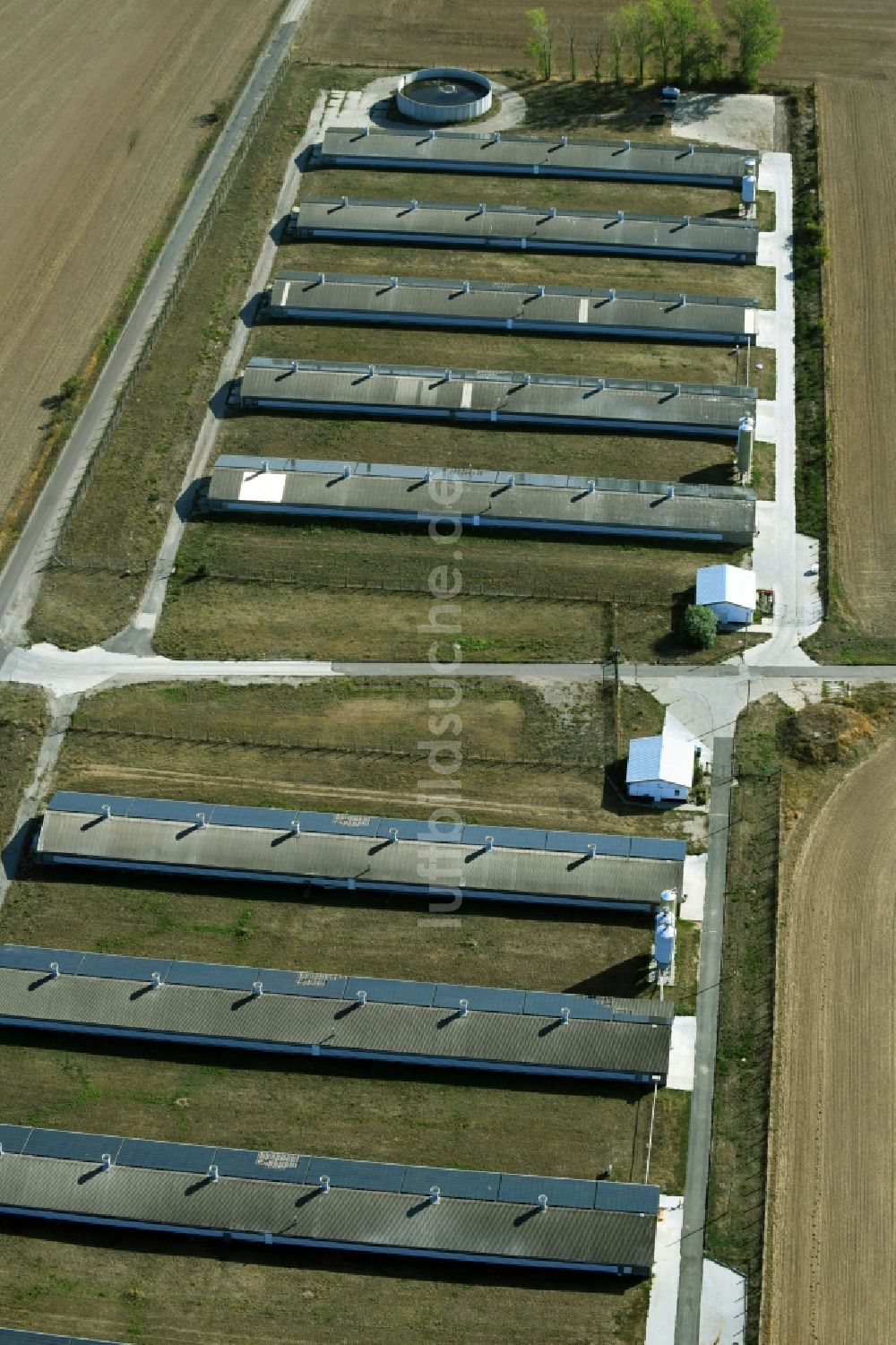 Oppin aus der Vogelperspektive: Tierzucht- Stallanlagen Tierzucht für die Fleischproduktion in Oppin im Bundesland Sachsen-Anhalt, Deutschland