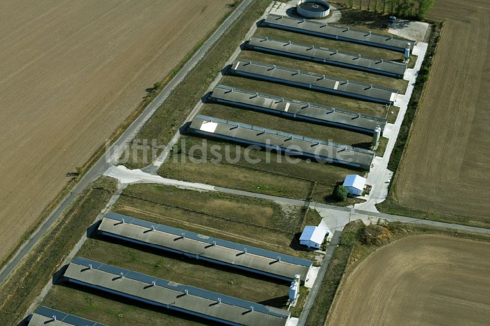 Luftbild Oppin - Tierzucht- Stallanlagen Tierzucht für die Fleischproduktion in Oppin im Bundesland Sachsen-Anhalt, Deutschland