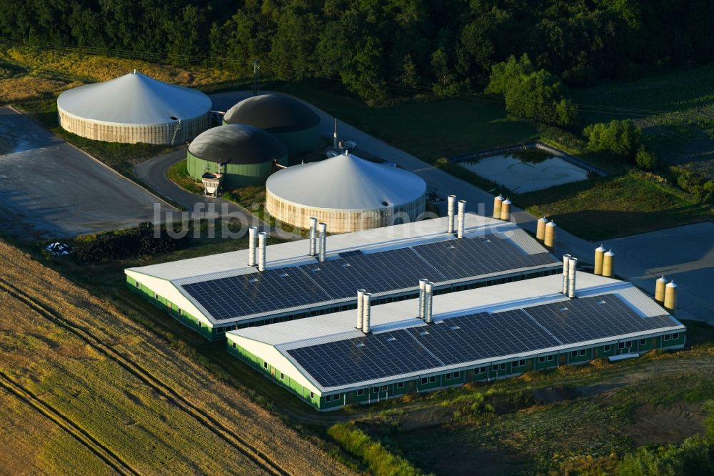 Luftaufnahme Vogelsang - Tierzucht- Stallanlagen Tierzucht für die Fleischproduktion in Vogelsang im Bundesland Mecklenburg-Vorpommern, Deutschland