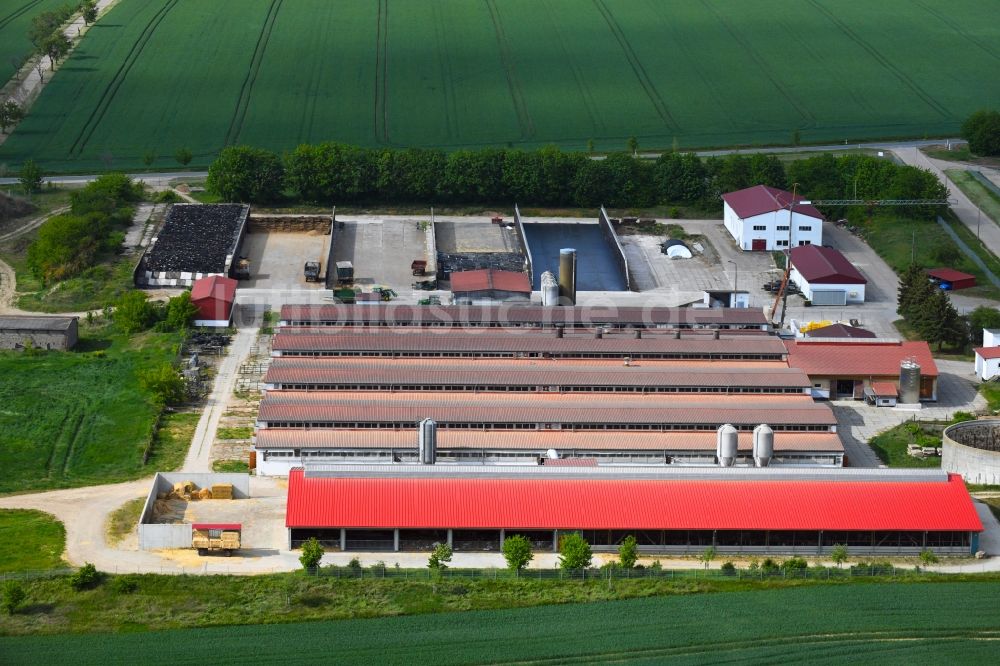 Luftaufnahme Westerengel - Tierzucht- Stallanlagen Tierzucht für die Fleischproduktion in Westerengel im Bundesland Thüringen, Deutschland
