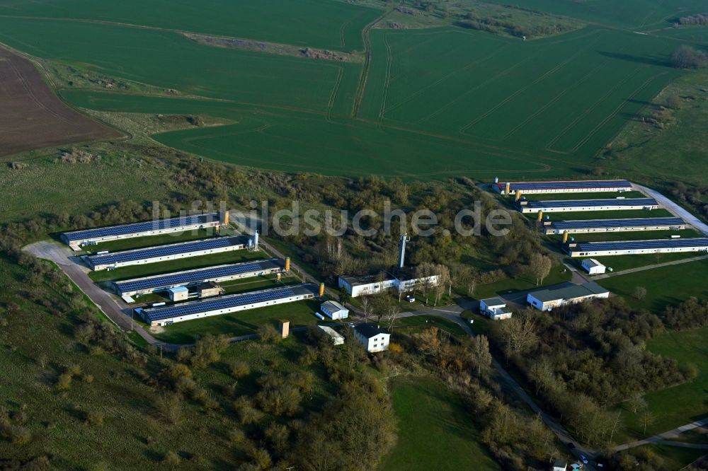 Luftaufnahme Wettin - Tierzucht- Stallanlagen Tierzucht für die Fleischproduktion in Wettin im Bundesland Sachsen-Anhalt, Deutschland