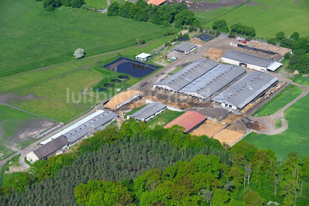 Zerpenschleuse von oben - Tierzucht- Stallanlagen Tierzucht für die Fleischproduktion in Zerpenschleuse im Bundesland Brandenburg, Deutschland