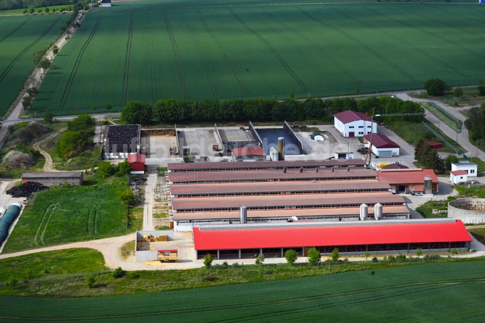 Luftbild Westerengel - Tierzucht- Stallanlagen Tierzucht für die Fleischproduktion in Westerengel im Bundesland Thüringen, Deutschland