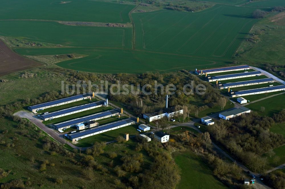 Luftbild Wettin - Tierzucht- Stallanlagen Tierzucht für die Fleischproduktion in Wettin im Bundesland Sachsen-Anhalt, Deutschland
