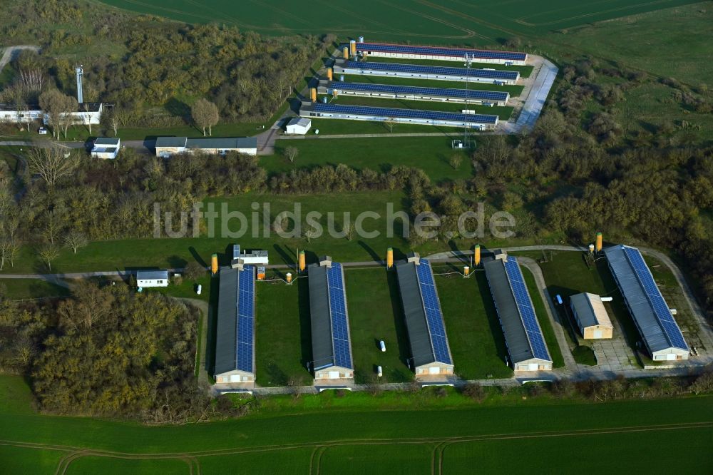 Wettin aus der Vogelperspektive: Tierzucht- Stallanlagen Tierzucht für die Fleischproduktion in Wettin im Bundesland Sachsen-Anhalt, Deutschland