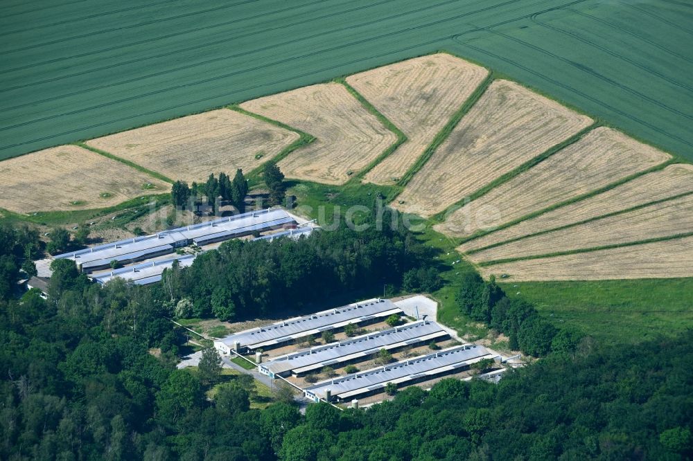 Luftbild Deersheim - Tierzucht- Stallanlagen zur Geflügelzucht in Deersheim im Bundesland Sachsen-Anhalt, Deutschland