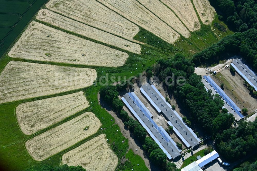 Luftaufnahme Deersheim - Tierzucht- Stallanlagen zur Geflügelzucht in Deersheim im Bundesland Sachsen-Anhalt, Deutschland
