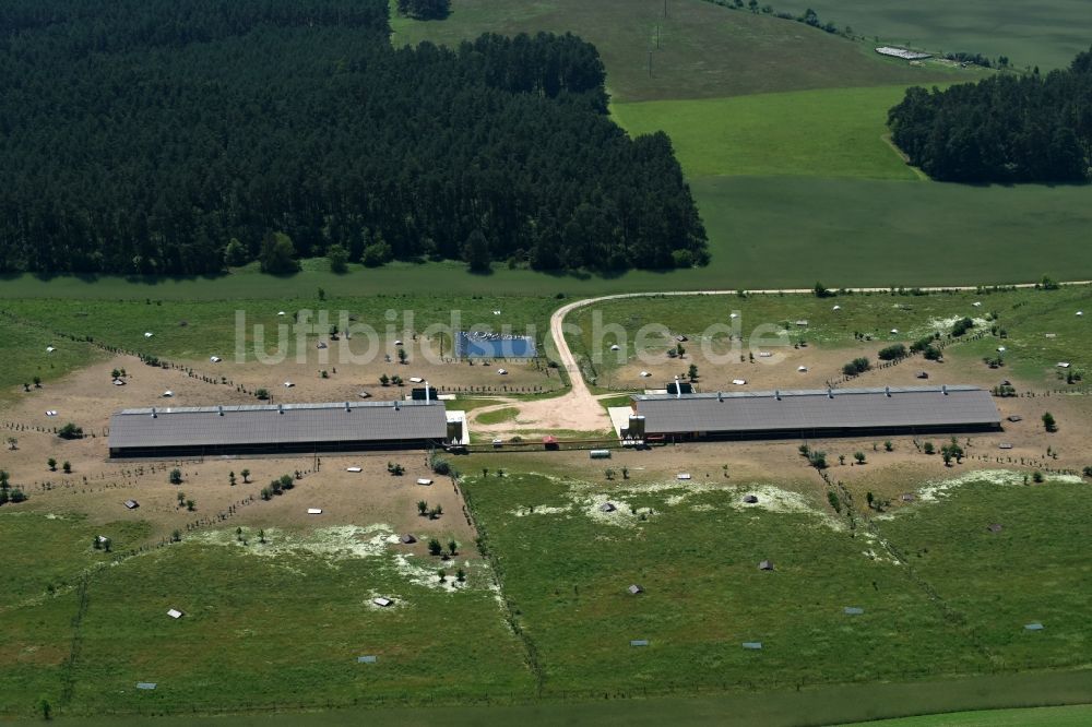 Zempow von oben - Tierzucht- Stallanlagen zur Geflügelzucht im Norden von Zempow im Bundesland Brandenburg