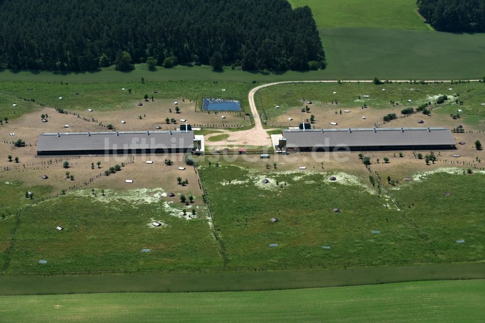 Zempow aus der Vogelperspektive: Tierzucht- Stallanlagen zur Geflügelzucht im Norden von Zempow im Bundesland Brandenburg