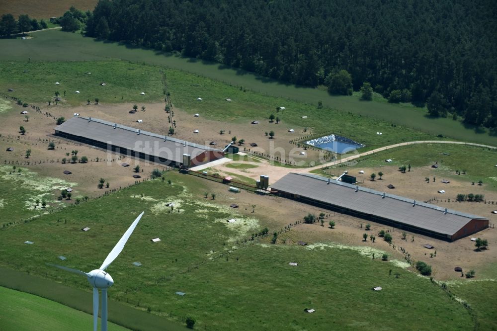 Luftaufnahme Zempow - Tierzucht- Stallanlagen zur Geflügelzucht im Norden von Zempow im Bundesland Brandenburg