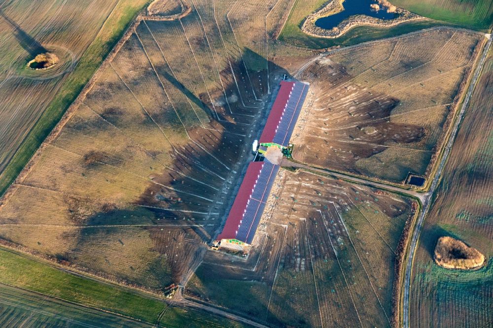 Luftbild Nordwestuckermark - Tierzucht- Stallanlagen zur Geflügelzucht in Nordwestuckermark im Bundesland Brandenburg, Deutschland