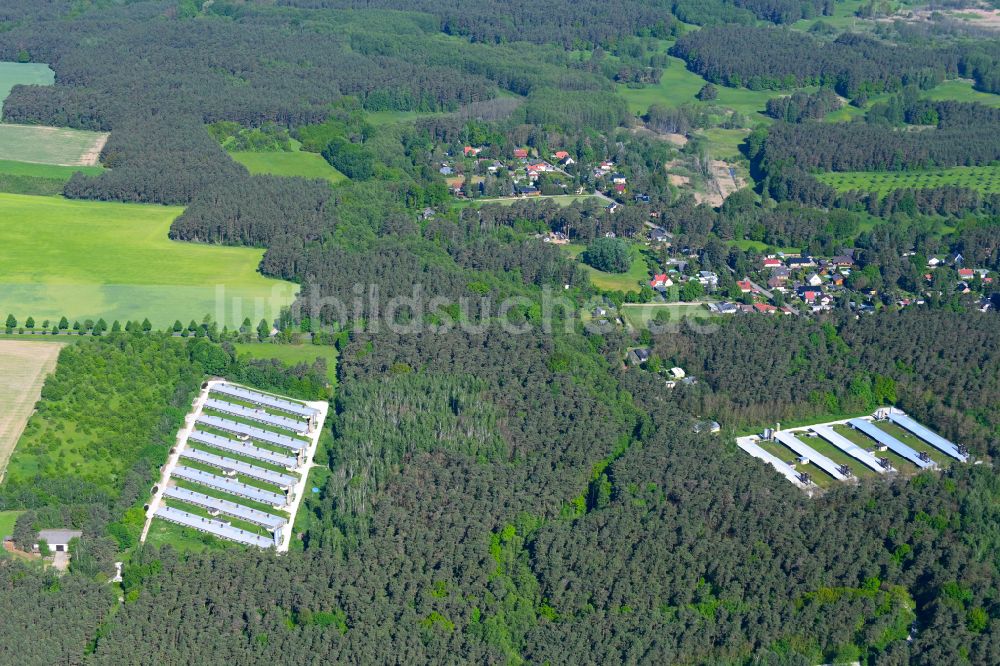 Luftbild Biesenthal - Tierzucht- Stallanlagen zur Geflügelzucht an der Rüdnitzer Chaussee in Biesenthal im Bundesland Brandenburg, Deutschland