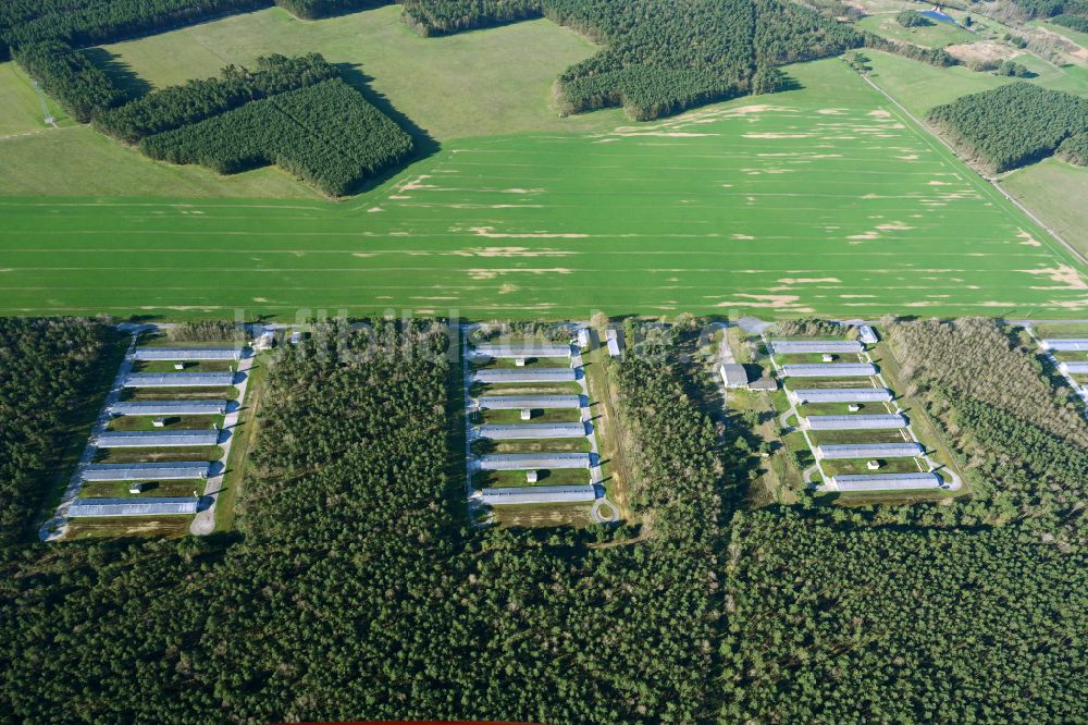 Luftbild Temnitzquell - Tierzucht- Stallanlagen zur Geflügelzucht in Temnitzquell im Bundesland Brandenburg, Deutschland