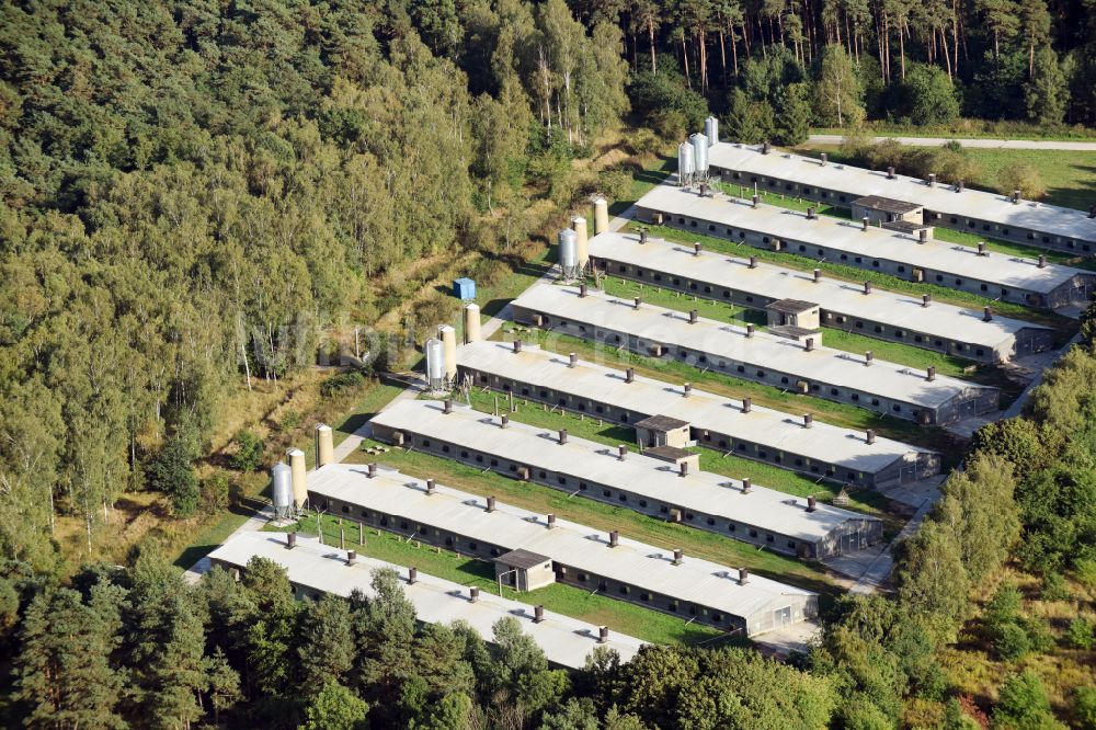 Luftaufnahme Wullwinkel - Tierzucht- Stallanlagen zur Geflügelzucht in einem Waldstück in Wullwinkel im Bundesland Brandenburg
