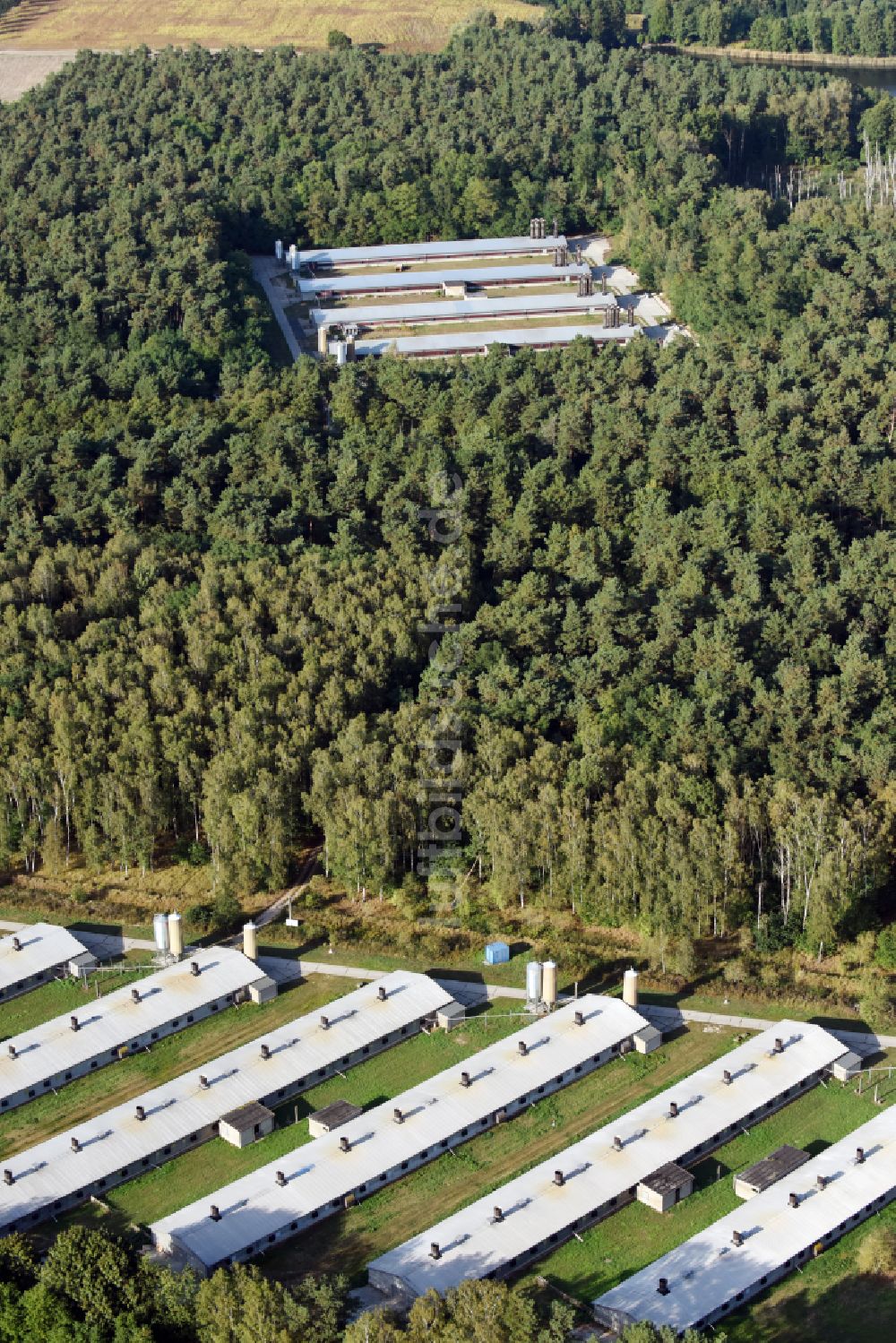 Luftbild Wullwinkel - Tierzucht- Stallanlagen zur Geflügelzucht in einem Waldstück in Wullwinkel im Bundesland Brandenburg