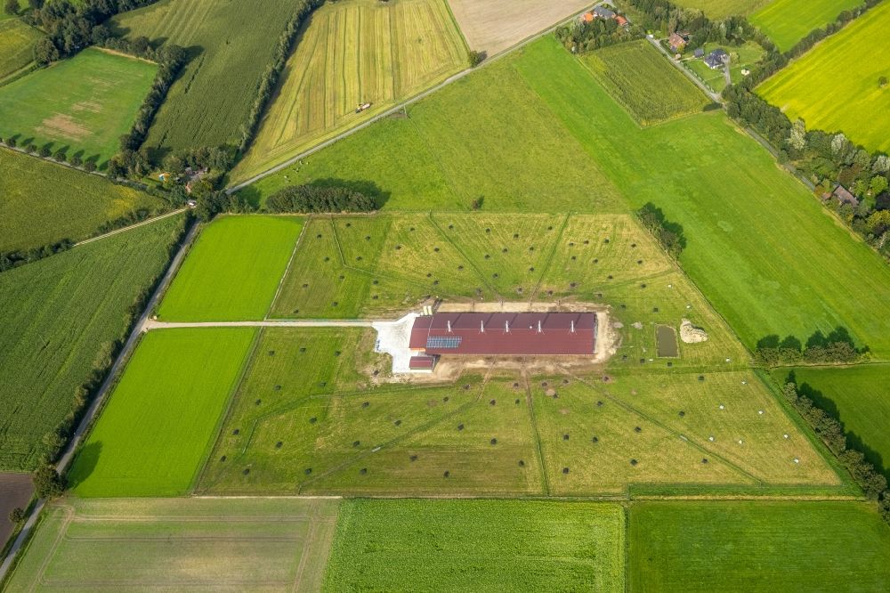Luftbild Suddendorf - Tierzucht- Stallanlagen zur Geflügelzucht in Suddendorf im Bundesland Niedersachsen, Deutschland