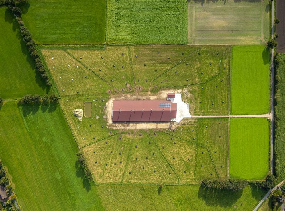 Luftaufnahme Suddendorf - Tierzucht- Stallanlagen zur Geflügelzucht in Suddendorf im Bundesland Niedersachsen, Deutschland