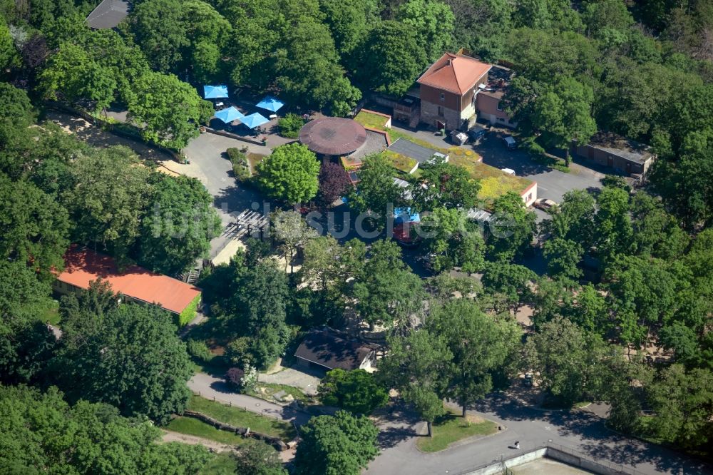 Luftaufnahme Erfurt - Tische und Sitzbänke der Freiluft- Gaststätten Zoopark Gastronomie in Erfurt im Bundesland Thüringen, Deutschland