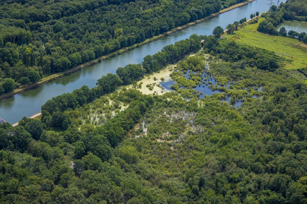 Castrop-Rauxel von oben - Tümpel und Morast- Wasseroberfläche Naturschutzgebiet Pöppinghauser Wald in Castrop-Rauxel im Bundesland Nordrhein-Westfalen, Deutschland