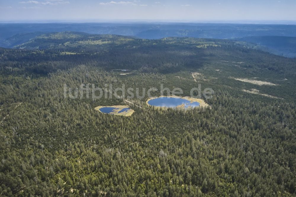Luftbild Gernsbach - Tümpel und Morast- Wasseroberfläche in einer Teichlandschaft in Gernsbach im Bundesland Baden-Württemberg, Deutschland