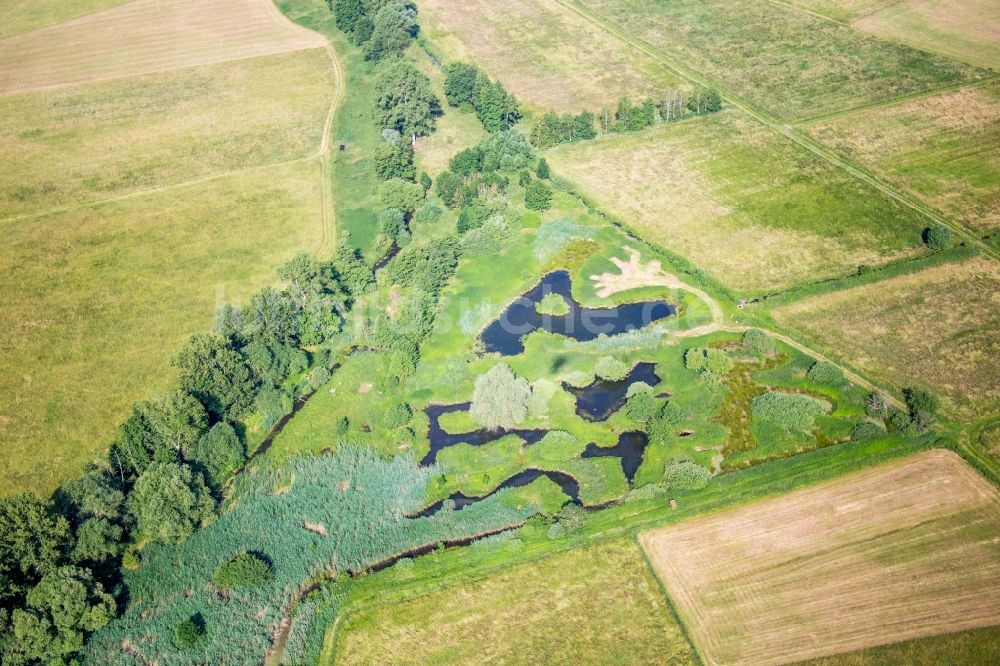 Knittelsheim aus der Vogelperspektive: Tümpel und Morast- Wasseroberfläche in einer Teichlandschaft in Knittelsheim im Bundesland Rheinland-Pfalz