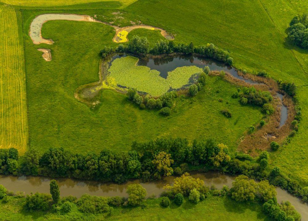 Luftaufnahme Bergkamen - Tümpel und Morast- Wasseroberfläche in einer Teichlandschaft in den Lippe-Auen in Bergkamen im Bundesland Nordrhein-Westfalen, Deutschland